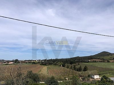 listing-picture-0