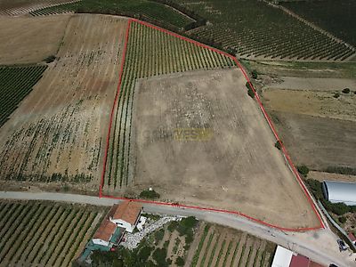 listing-picture-0