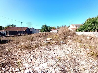 listing-picture-0