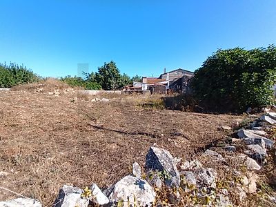 listing-picture-0