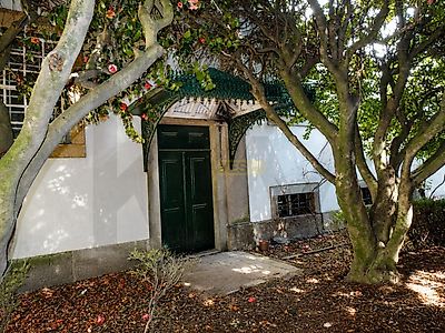 listing-picture-0