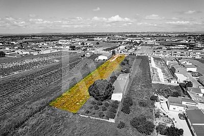 listing-picture-0