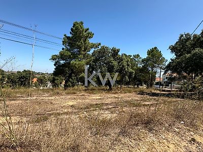 listing-picture-0