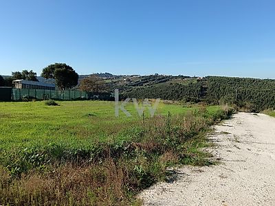 listing-picture-0