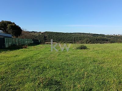 listing-picture-0