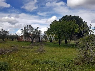 listing-picture-0