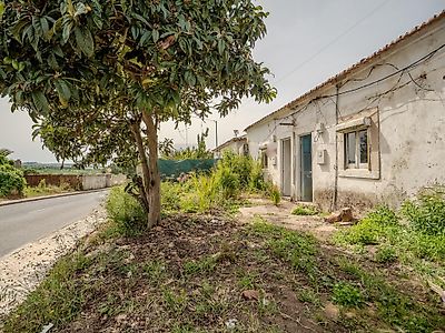 listing-picture-0