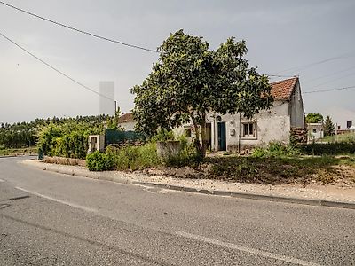 listing-picture-0
