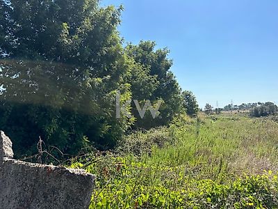 listing-picture-0