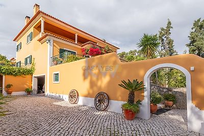 listing-picture-0