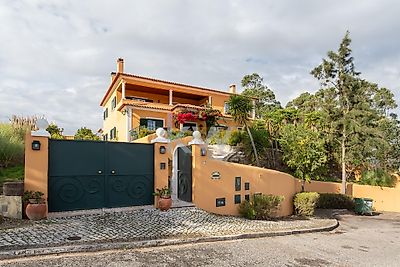 listing-picture-0