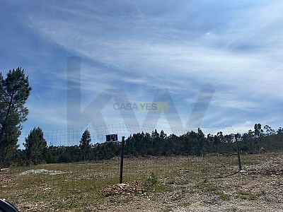 listing-picture-0