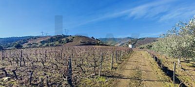 listing-picture-0