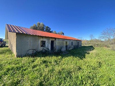 listing-picture-0