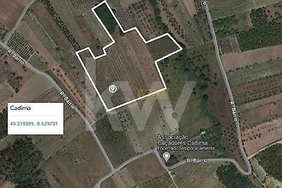 listing-picture-0