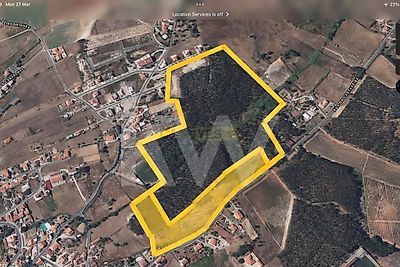 listing-picture-0