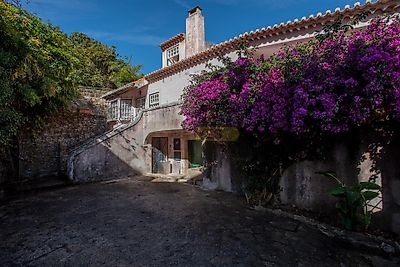 listing-picture-0