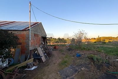 listing-picture-0