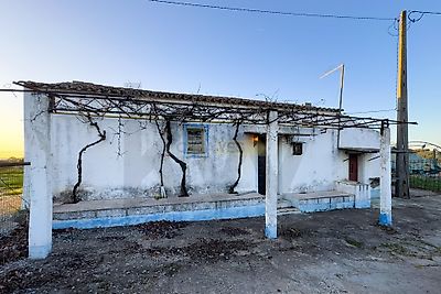 listing-picture-0