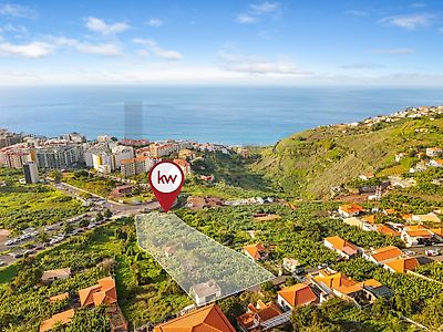 listing-picture-0