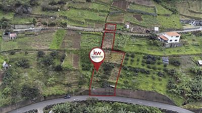 listing-picture-0