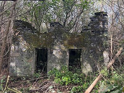 listing-picture-0