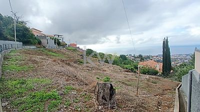 listing-picture-0