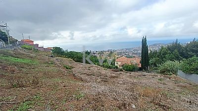 listing-picture-0