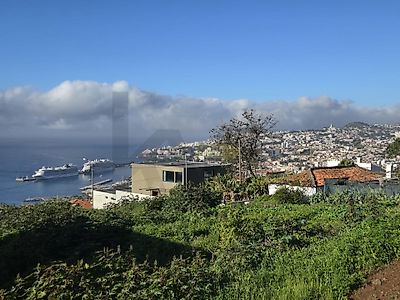 listing-picture-0