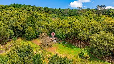 listing-picture-0