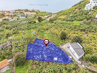 listing-picture-0