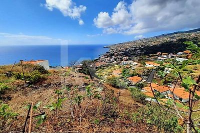 listing-picture-0