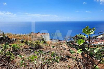 listing-picture-0
