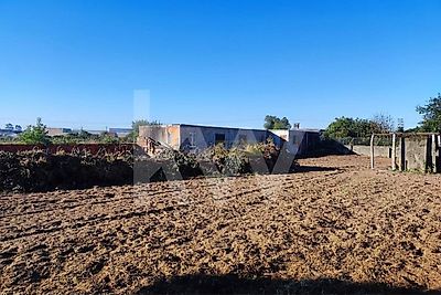 listing-picture-0
