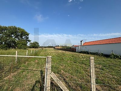 listing-picture-0