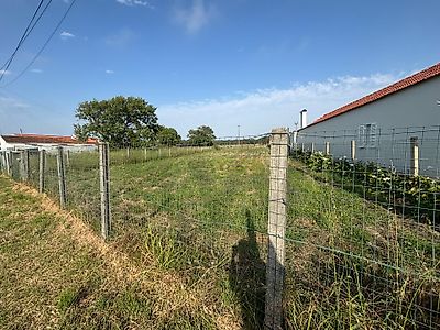 listing-picture-0