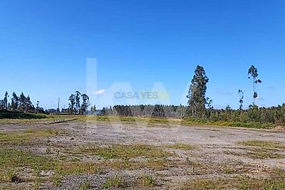 listing-picture-0