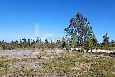 listing-picture-0