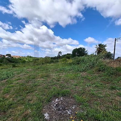 listing-picture-0
