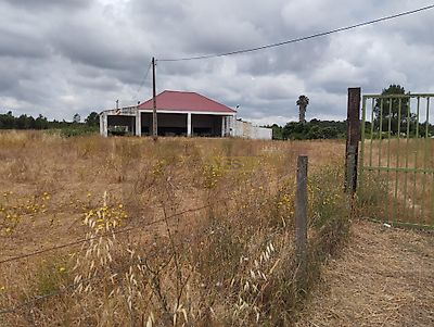 listing-picture-0