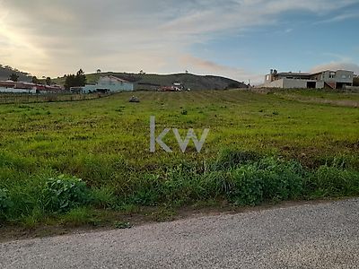 listing-picture-0