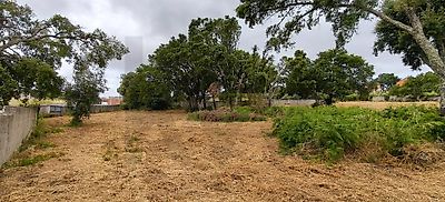 listing-picture-0