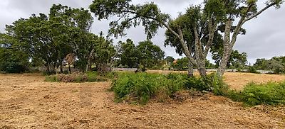 listing-picture-0