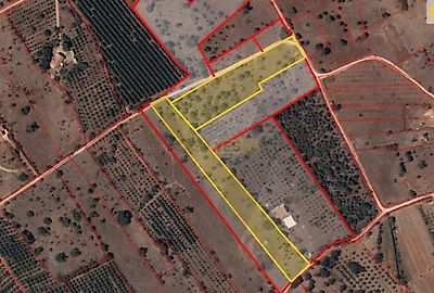 listing-picture-0