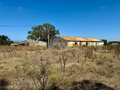 listing-picture-0
