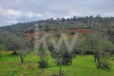 listing-picture-0