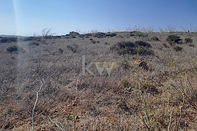 listing-picture-0