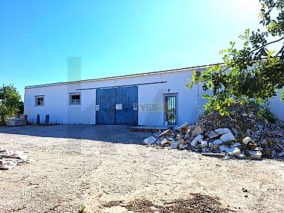 listing-picture-0