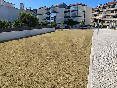 listing-picture-0