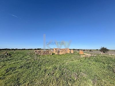 listing-picture-0